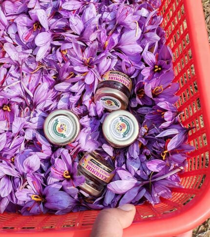 Kashmiri Saffron Seeds: Benefits, Cultivation, and Tips (Copy)
